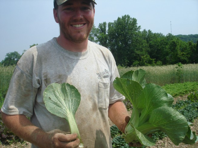 hilton-head-and-farmers-market-389