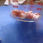 shrimp 091